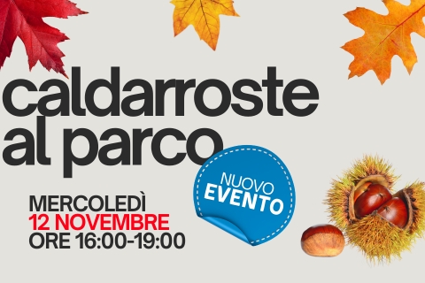 Evento-castagnata-news-12novembre